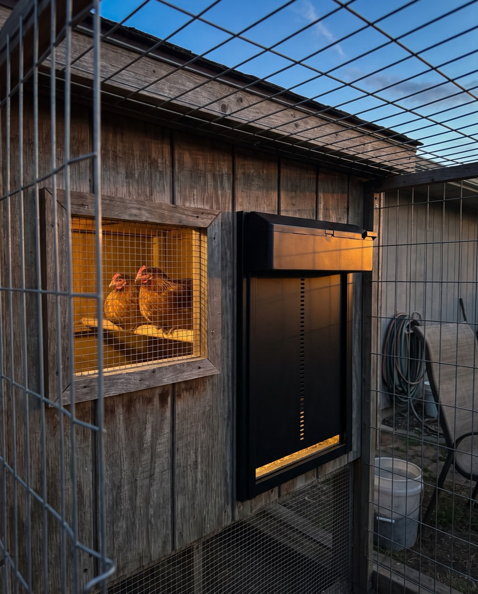 Customer photo of the ChookGate door on their coop