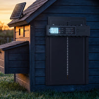 ChookGate door closed for the night on a backyard chicken coop at dusk