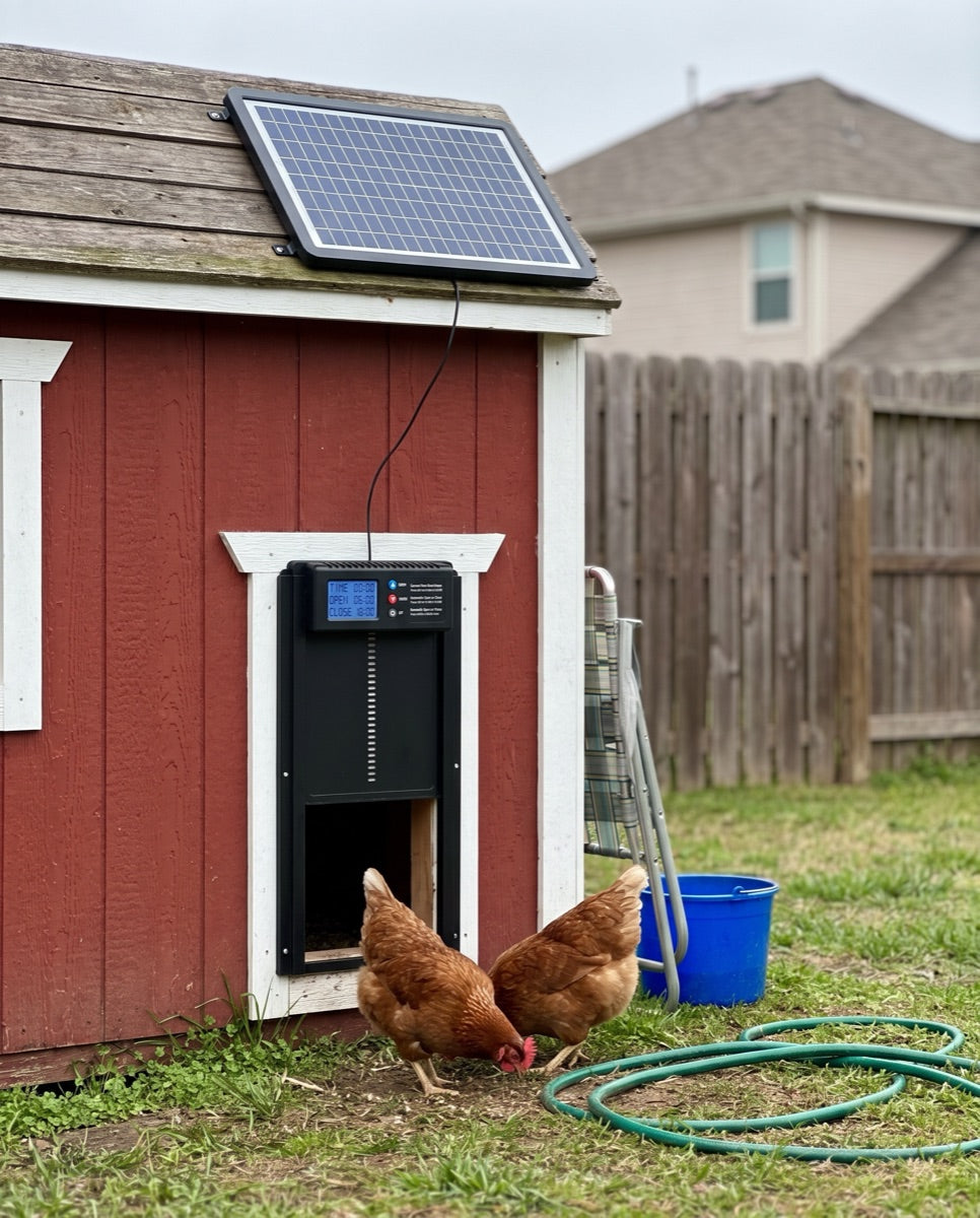 Customer photo of the ChookGate door on their coop
